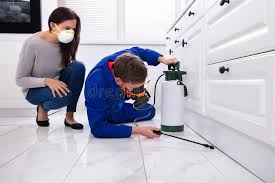 Best Indoor Pest Control  in Tucson Estates, AZ